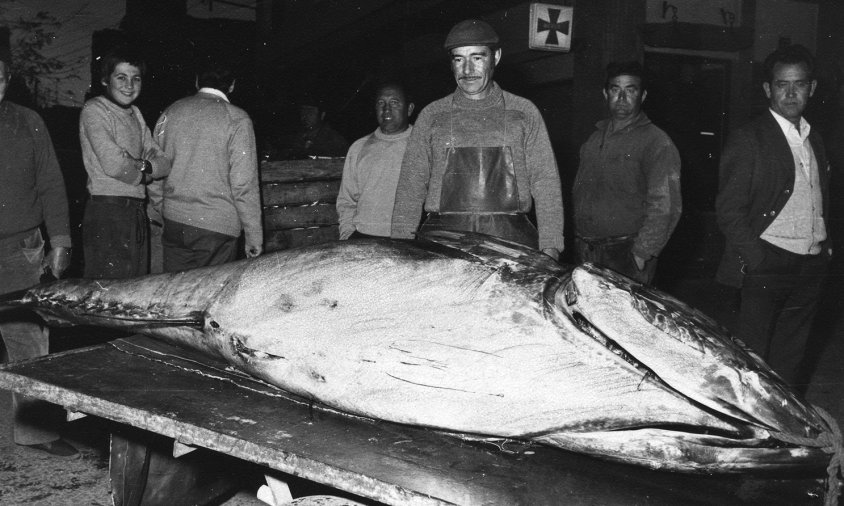 Captura d'una tonyina de més de 200 quilos / Desembre 1974