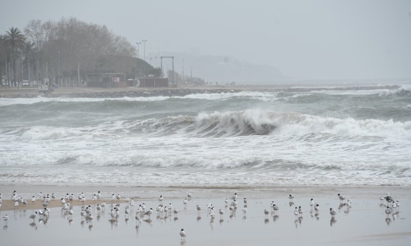 Imatge d'arxiu d'un temporal de mar a la platja del Regueral, el març de l'any passat