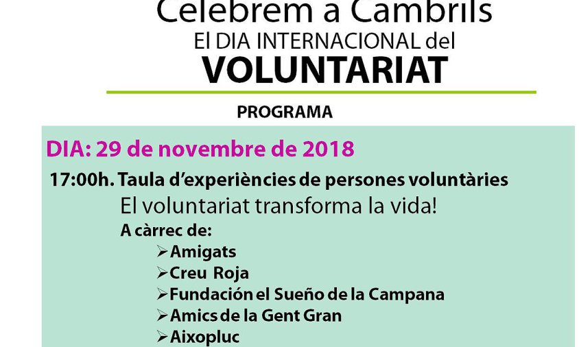 Cartell del Dia Internacional del Voluntariat