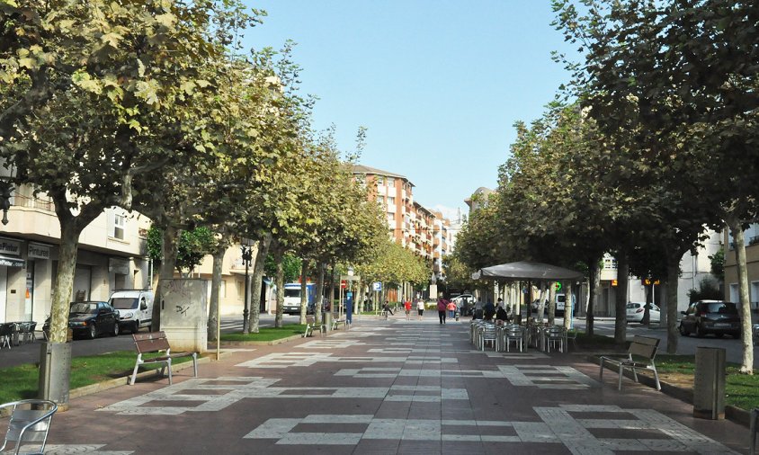 Plataners situats a l'avinguda de Josep Vidal i Barraquer