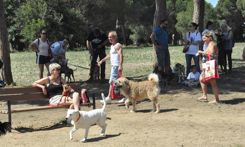 Imatge de la caminada popular de gossos que es va organitzar el passat 2 de juny