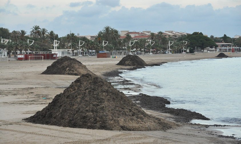 Munts de restes de posidònia, a la platja del Regueral, després d'un temporal l'octubre de 2012