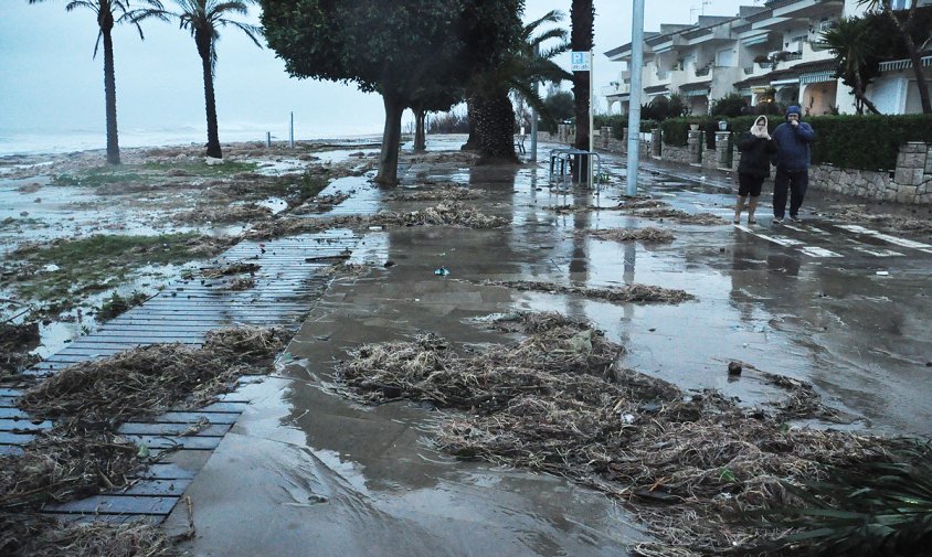 Destrosses al passeig litoral de Ponent provocades pel temporal Glòria, aquest passat mes de gener