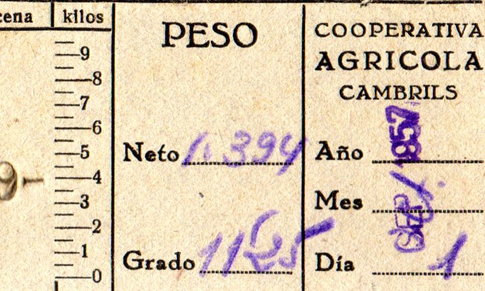 Tiquet bàscula Cooperativa Agrícola de Cambrils / 1957