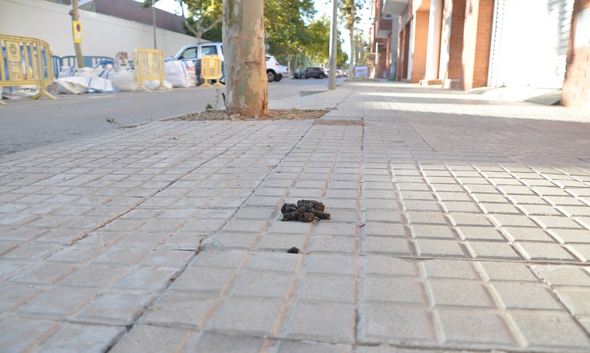Defecació de gos al mig d'una vorera, al barri del Pinaret