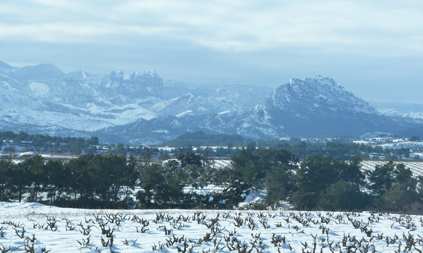 Nevada a la Terra Alta, prop de Bot, aquest matí