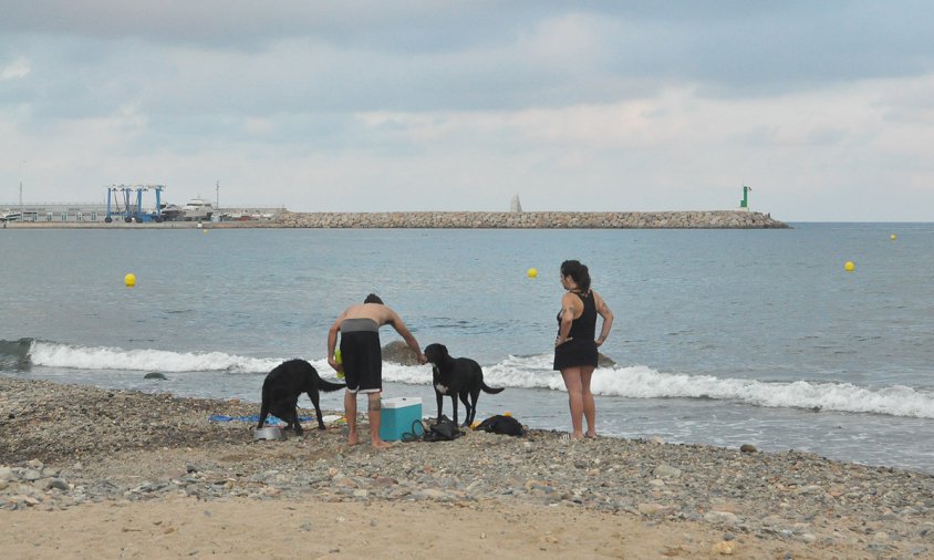 Aspecte de la platja de gossos, ahir a la tarda