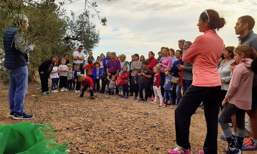 Un moment de la visita a una finca d'oliveres, el novembre de 2019