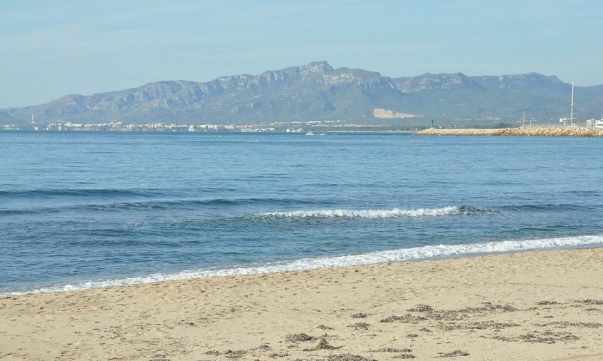 Imatge de la platja del Regueral
