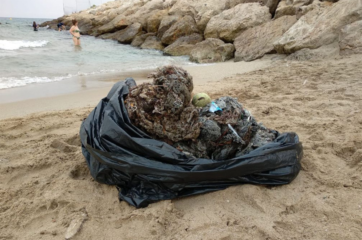 Una part de la brossa trobada ahir amb la recollida subaquàtica / Foto: Cedida