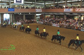 El Club Hípic Castells queda sisè en el concurs de carrusels de Catalunya disputat a l'Equus Girona 2009