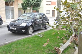 Cau una branca d'un arbre damunt d'un cotxe a causa de les fortes ratxes de vent