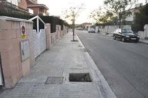 Les fortes ràfegues de vent provoquen desperfectes en l'arbrat 