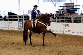 El cambrilenc José Manuel Santiago queda tercer en el concurs de la Fira de Verona del Cavall