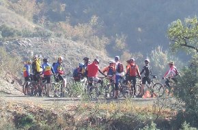 Una vintena de bikers participen en la Volta per les Vinyes del Priorat