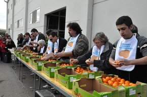 Les festes de Sant Antoni s'engeguen amb una gran participació popular