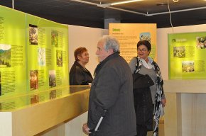 "Boscos per a què?" és la nova mostra de la sala Àgora que s'endinsa en els boscos catalans