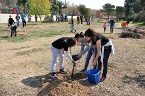 L'Agrupament Escolta Gent de Mar fa una plantada d'arbres al costat del barranc de la Mare de Déu del Camí