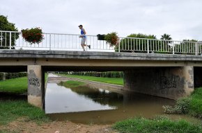 L'Ajuntament realitza durant tot l'any tractaments a les rieres i barrancs per combatre l'aparició de mosquits