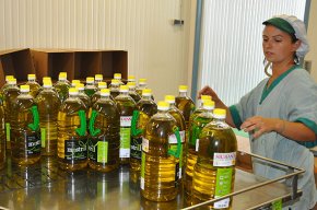 L'oli d'oliva de la Cooperativa Agrícola de Cambrils guanya tres premis internacionals per la seva qualitat