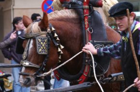 Les festes de Sant Antoni conclouen aquest cap de setmana amb els Tres Tombs