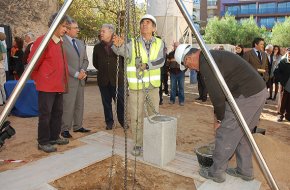 Es col·loca la primera pedra del futur centre de dinamització econòmica i social, a la Torre del Llimó 