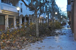 El carrer de Frederic Mompou, ocupat per les branques de la poda 