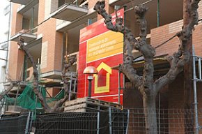 43 joves han accedit a vivenda de lloguer en el primer any de la Borsa d'Habitatge Jove