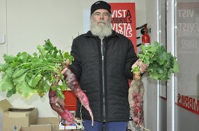 Un pagès de Cambrils cull tres raves gegants amb un pes d'entre 800 i 1.300 grams
