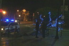 Un dels plataners del passeig de La Salle es trenca sobtadament i cau damunt la calçada