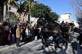 Gran participació als Tres Tombs amb 250 cavalls i 85 carruatges 