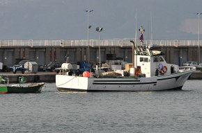 Més de 10.000 quilos de peix capturats el primer dia després de la veda animen als pescadors de la llum