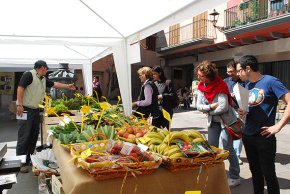 La plaça d'Espanya acull la primera edició del nou mercat ecològic i artesà