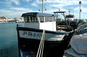 El Museu d'Història restaurarà l'embarcació cambrilenca "Teresa", construïda l'any 1936
