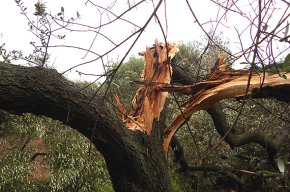 Una forta tempesta, amb gran descàrrega de llamps, cau sobre Cambrils