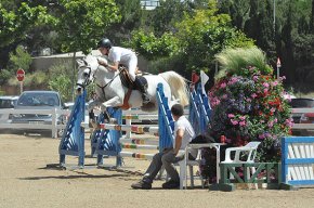 La Fira del Cavall 2011 es tanca amb unes xifres força positives, però amb un descens de la participació en el concurs morfològic
