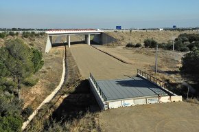 El conseller de Territori i Sostenibilitat denuncia que en 12 anys només s'hagi desdoblat un 35% de la via Vandellòs-Tarragona del Corredor del Mediterrani
