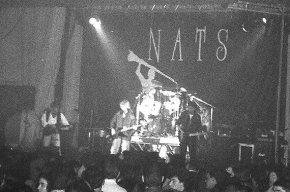 El grup Nats retrà homenatge al músic cambrilenc Jordi Pallarés amb un concert