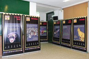 Lexposició Homo Trànsitus recorre els instituts cambrilencs per sensibilitzar els més joves sobre els accidents de circulació