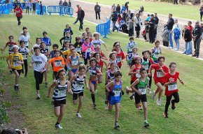 L'atleta local Anna Riu s'imposa en el Cros de Cambrils, mentre que Martí Sarrà i Helena González també pugen al podi en tercera posició