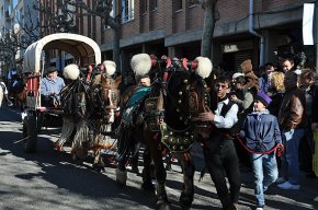 Uns 150 cavalls i uns 100 carruatges participaran a la celebració dels Tres Tombs, aquest proper diumenge