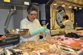 La galera es troba en el seu punt àlgid en qualitat, preu i captures