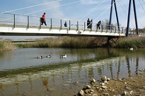 L'Ajuntament posarà en marxa un projecte per rehabilitar l'aiguamoll de la riera de Riudoms