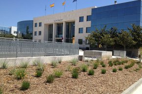 La plaça de l'Ajuntament estrena zona enjardinada