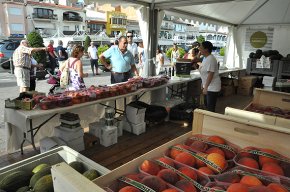 El port de Cambrils acull la VII Mostra de productes agrícoles