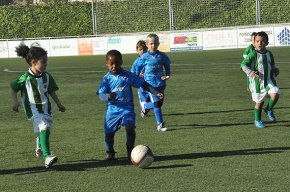 El Cambrils UCF "A" guanya el Torneig de Nadal Tarragona Baby League amb 16 equips