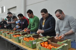 Molta participació en els actes del primer cap de setmana de les Festes de Sant Antoni