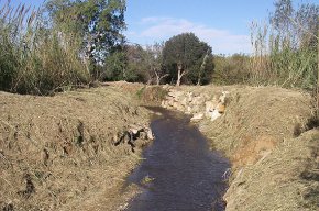 LACA neteja la llera del barranc de Barenys de Salou per millorar la seva capacitat de desguàs