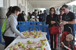L'Associació Cambrils Solidari Tots Plegats recapta 1.500 euros en una calçotada solidària