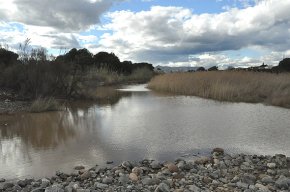 L'Àrea de Medi Ambient continua amb les actuacions ambientals per controlar la proliferació de mosquits tigre